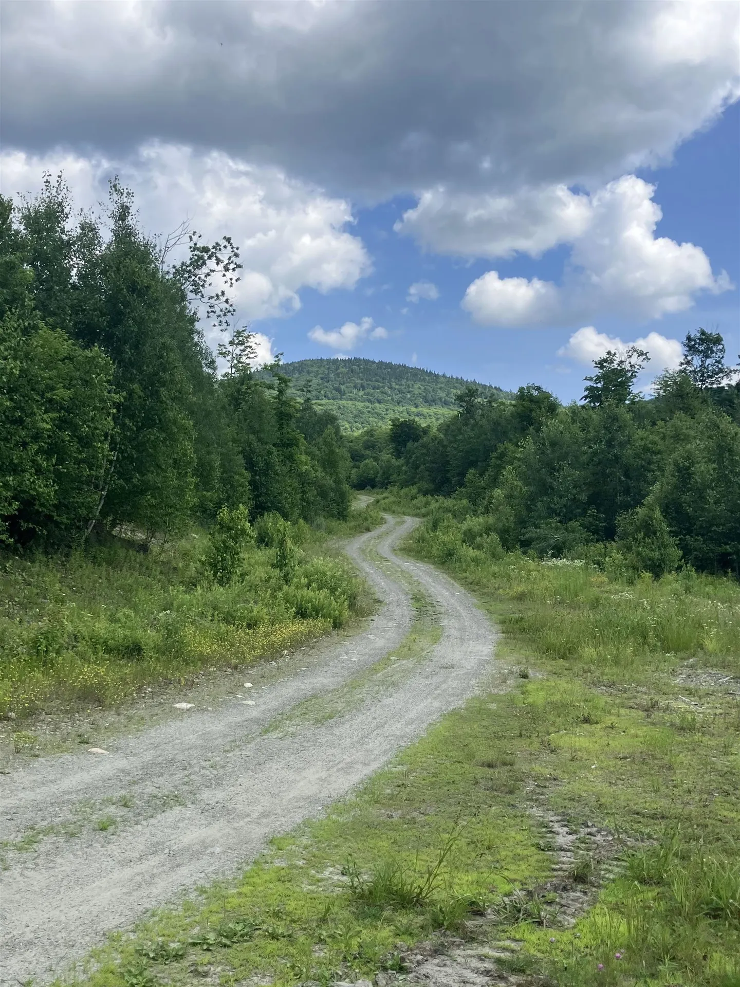 Lot 2&3 Washburn/meridan Hill Road Columbia NH 03576