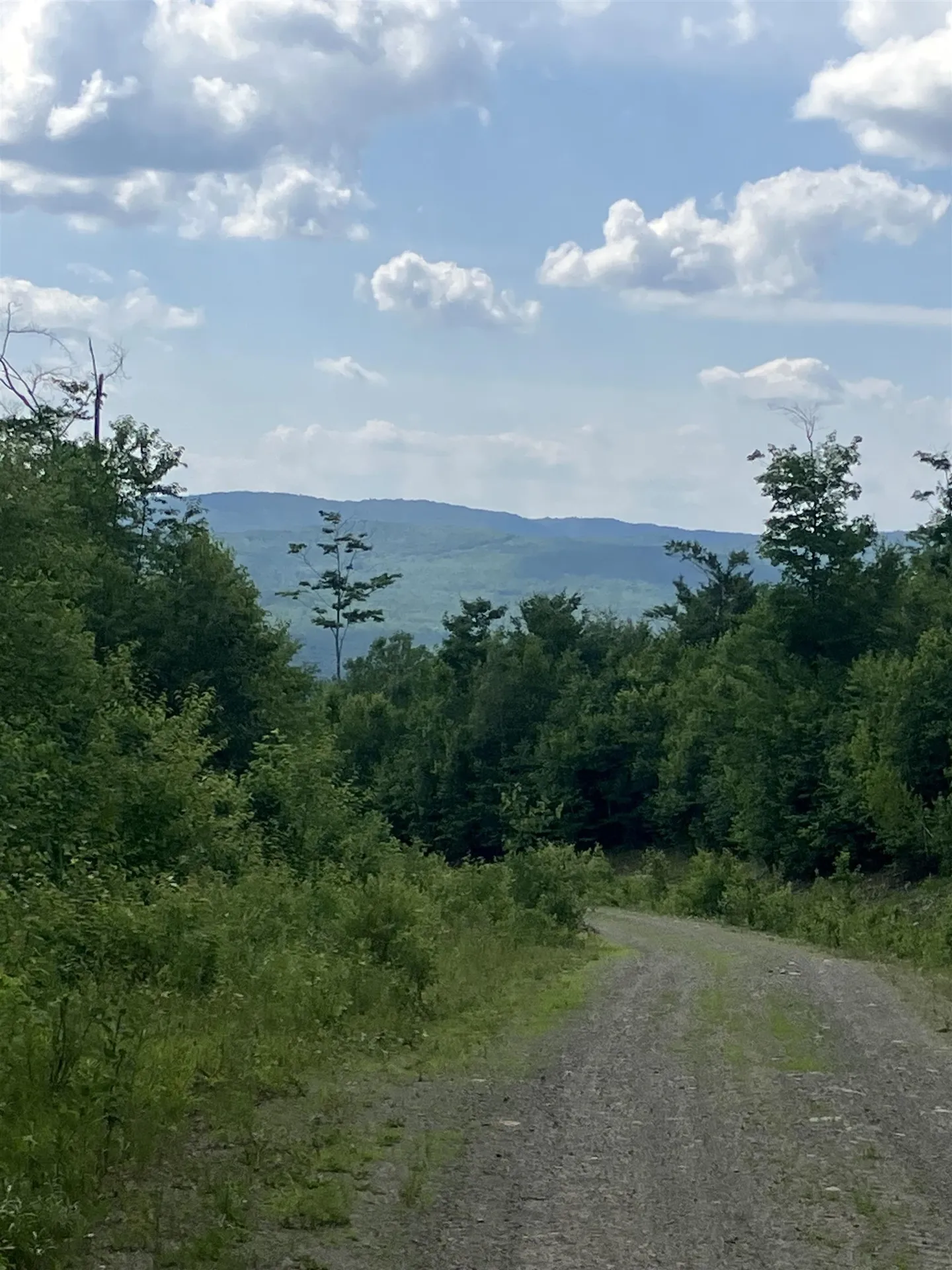 Lot 2&3 Washburn/meridan Hill Road Columbia NH 03576