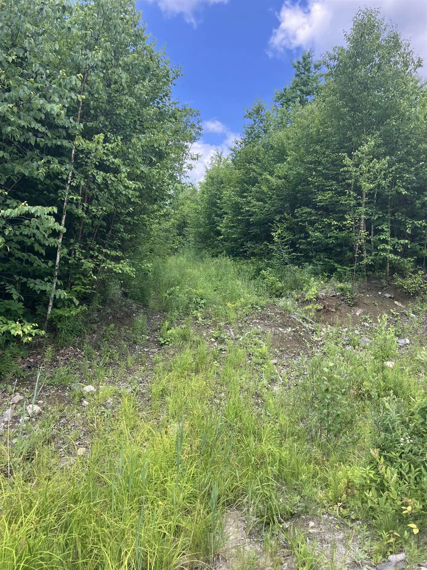 Lot 2&3 Washburn/meridan Hill Road Columbia NH 03576