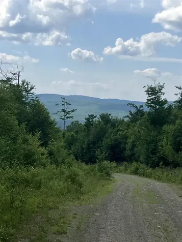 Lot 2&3 Washburn/meridan Hill Road Columbia NH 03576
