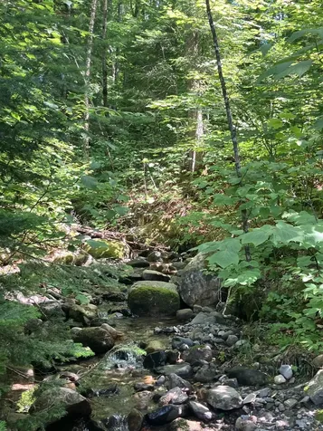 Lot 2&3 Washburn/meridan Hill Road Columbia NH 03576