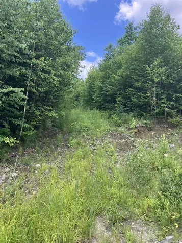 Lot 2&3 Washburn/meridan Hill Road Columbia NH 03576