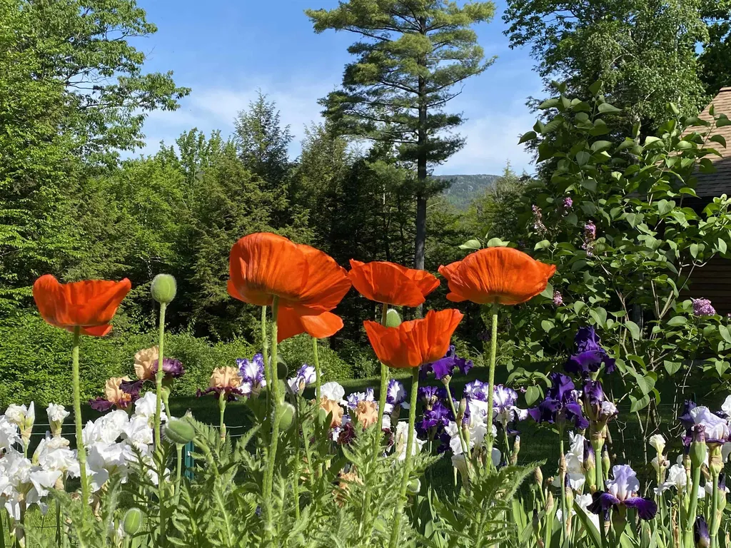 177 & 179 Dublin Road Jaffrey NH 03452