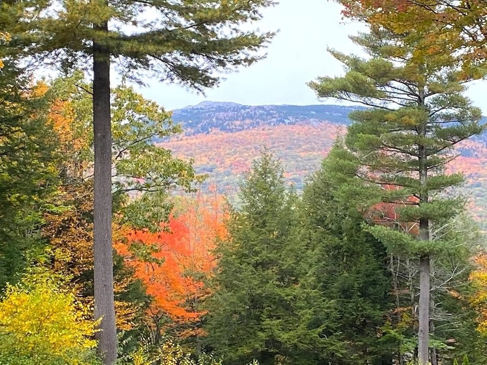 177 & 179 Dublin Road Jaffrey NH 03452