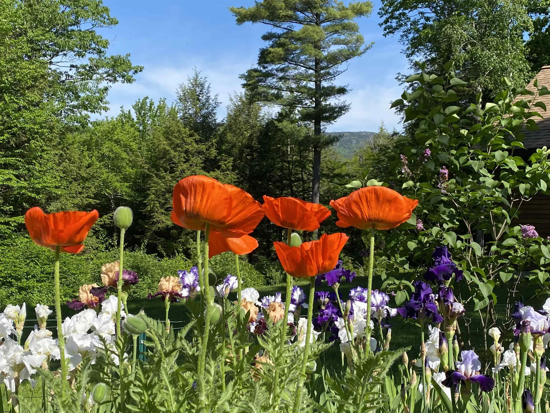 177 & 179 Dublin Road Jaffrey NH 03452