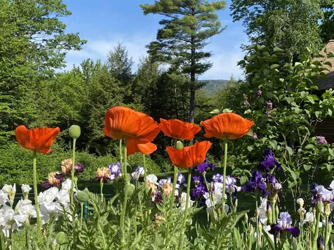 177 & 179 Dublin Road Jaffrey NH 03452