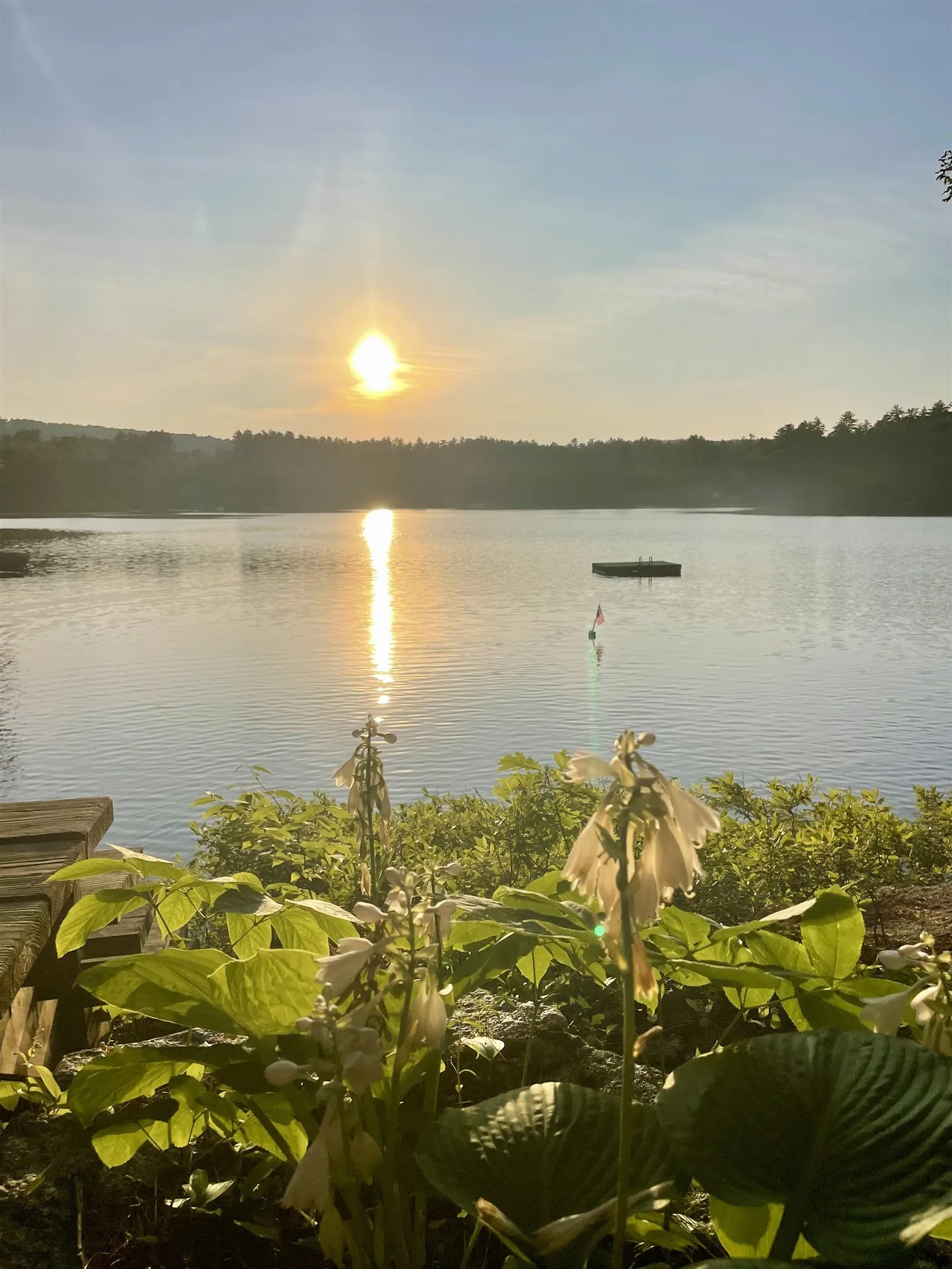 6 Lake Shore Terrace Hillsborough NH 03244