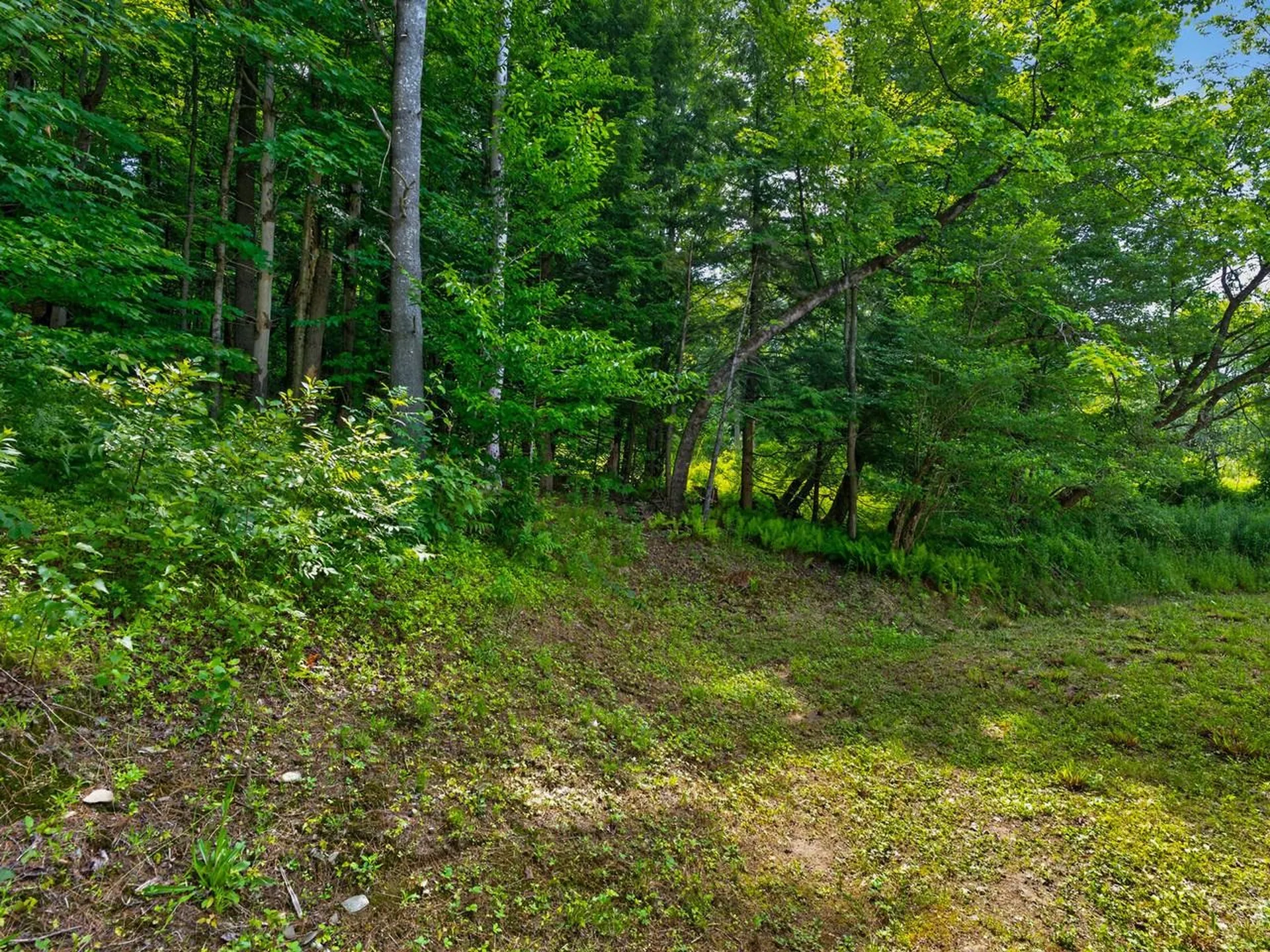 24 Angus Drive Johnson VT 05656