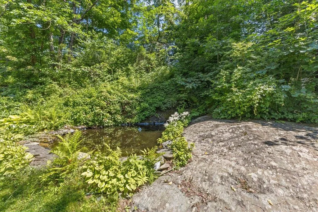 221 School Street Stowe VT 05672