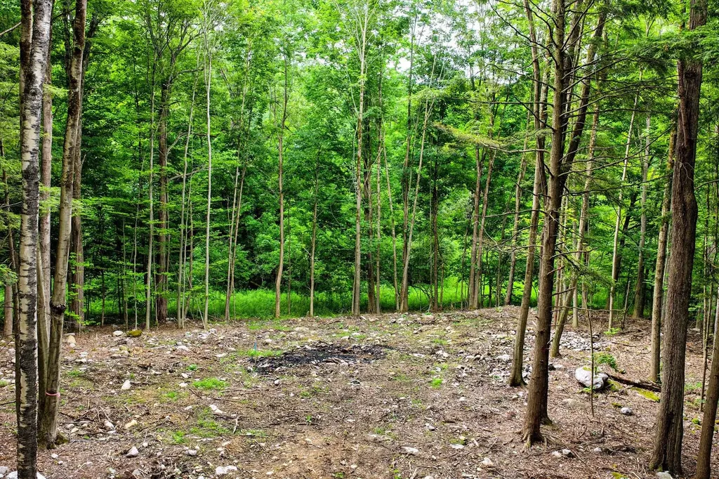 0 Cedar Lane Mendon VT 05701