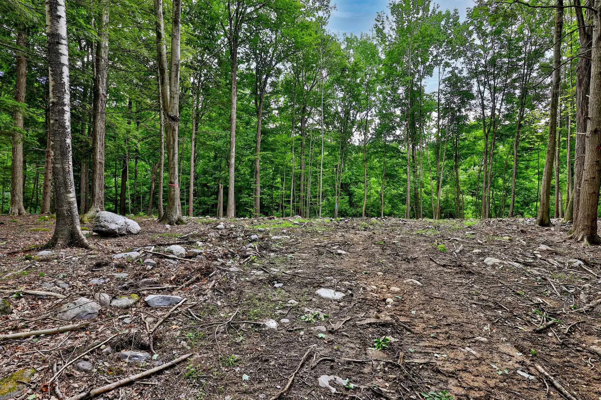 0 Cedar Lane Mendon VT 05701