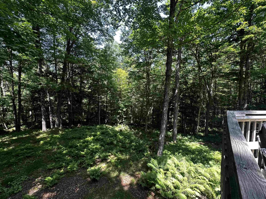 9 Crestbrook Place Springfield NH 03284