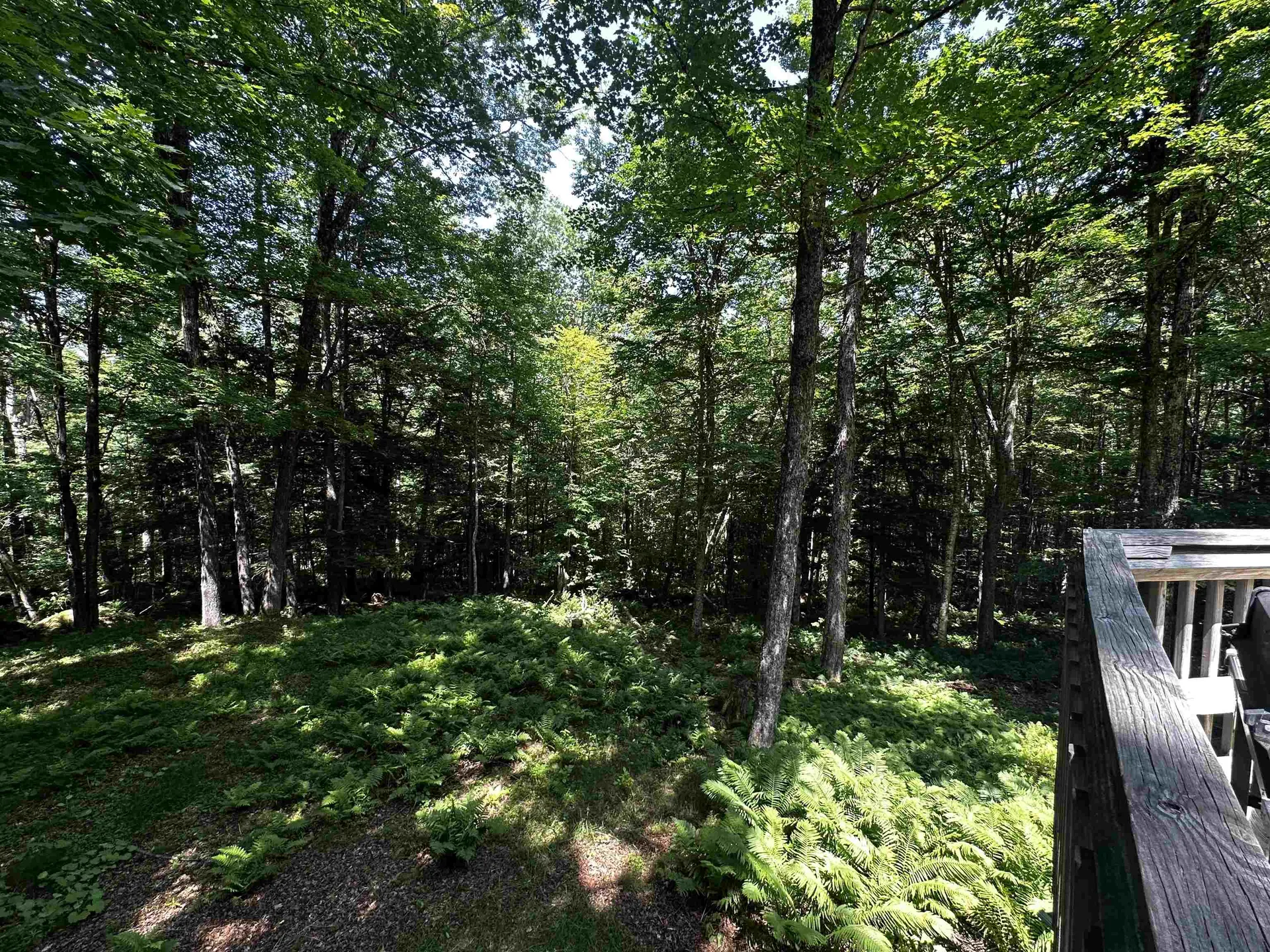 9 Crestbrook Place Springfield NH 03284