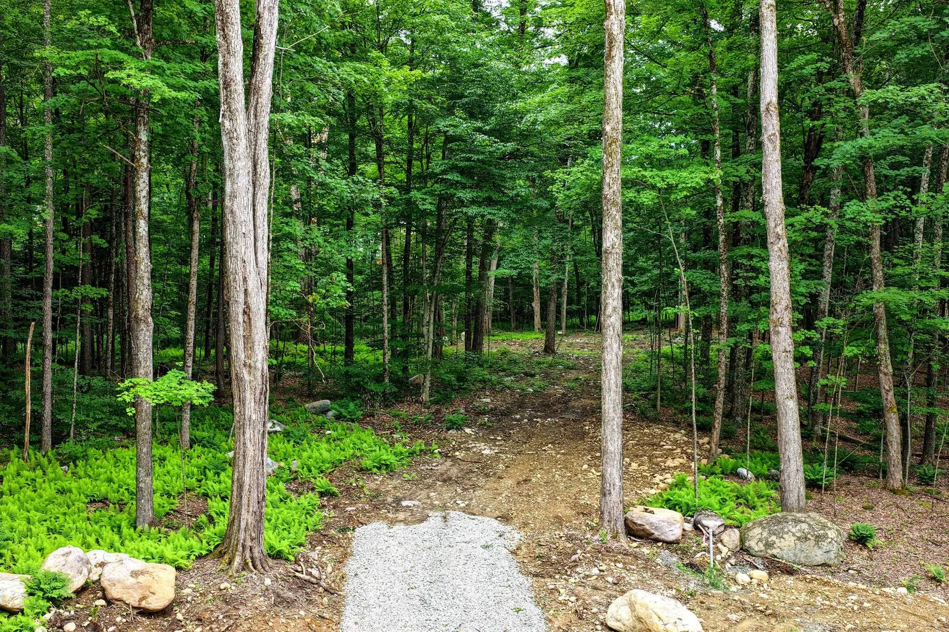 0 Cedar Lane Mendon VT 05701