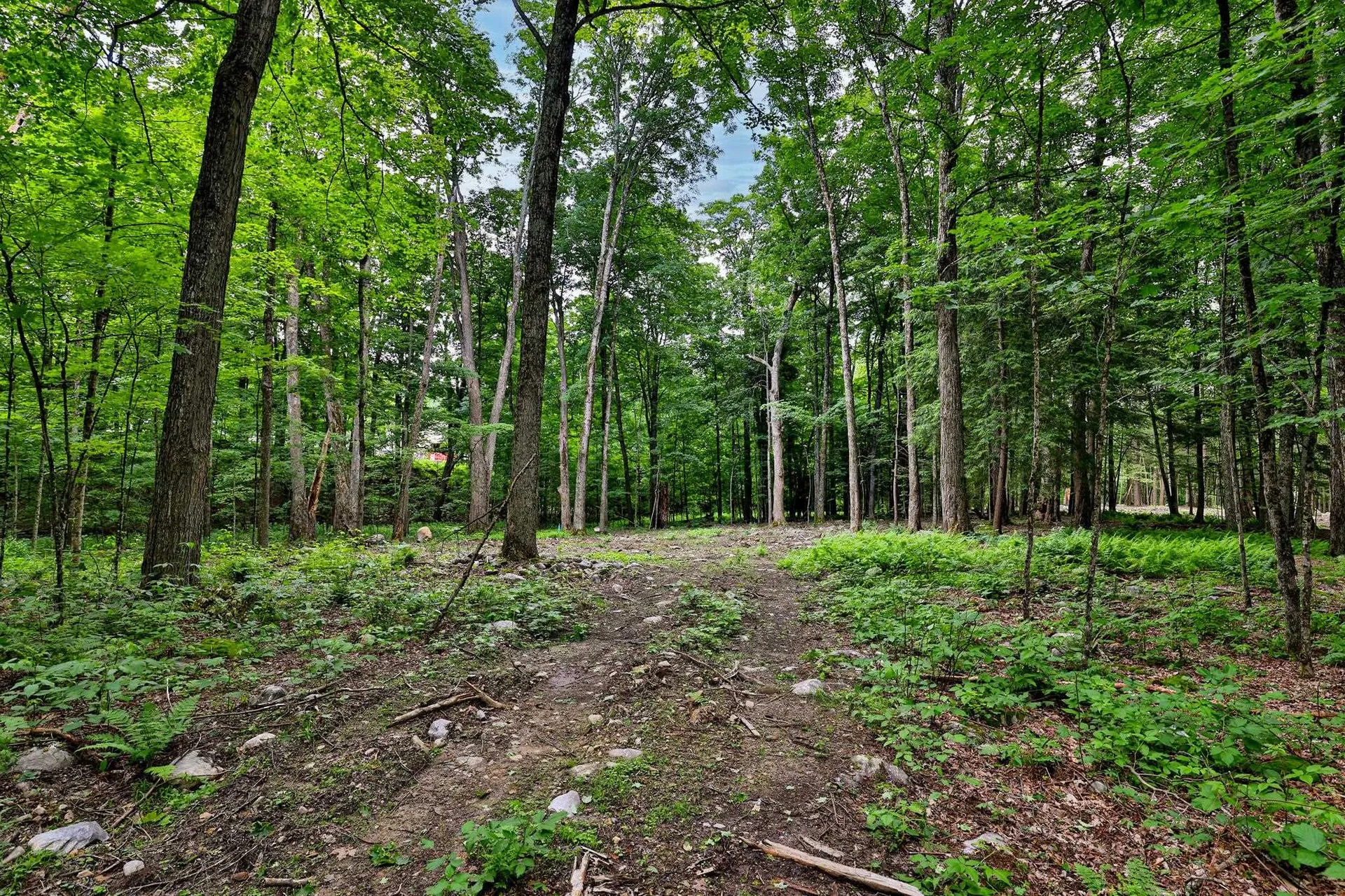 0 Cedar Lane Mendon VT 05701