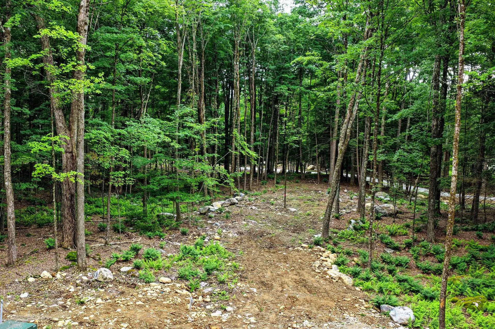 0 Cedar Lane Mendon VT 05701