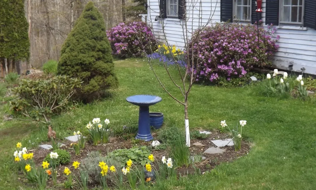 124 Washington Pond Road Marlow NH 03456