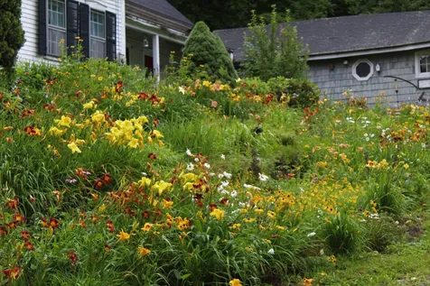 124 Washington Pond Road Marlow NH 03456