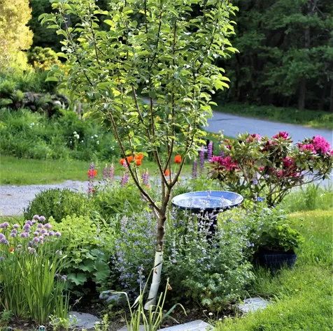 124 Washington Pond Road Marlow NH 03456