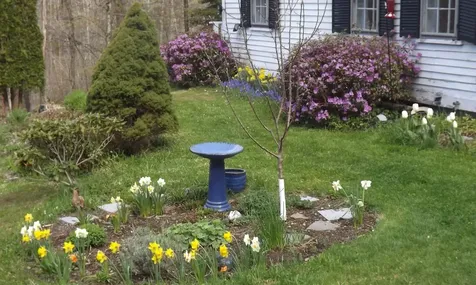 124 Washington Pond Road Marlow NH 03456