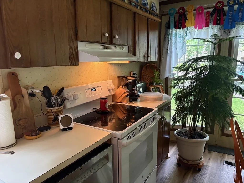 3 Bayberry Lane Wolfeboro NH 03894
