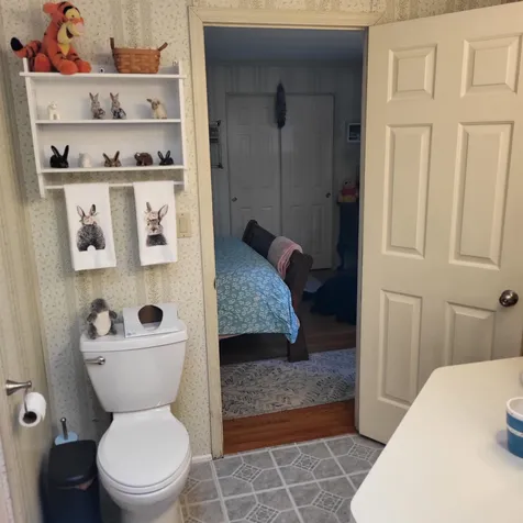 3 Bayberry Lane Wolfeboro NH 03894