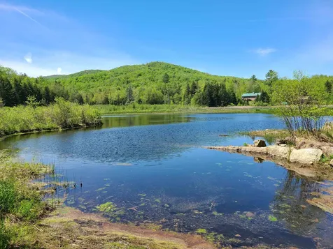00 River Rd. Road Killington VT 05751