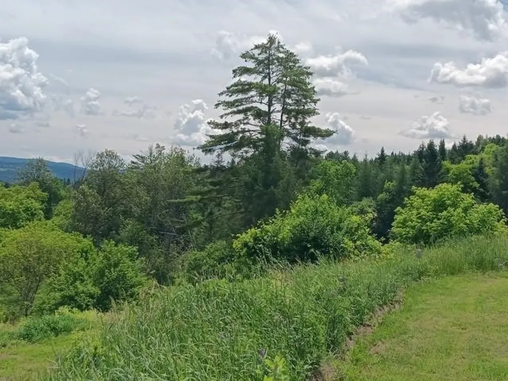 1362 Vail Drive Lyndon VT 05851