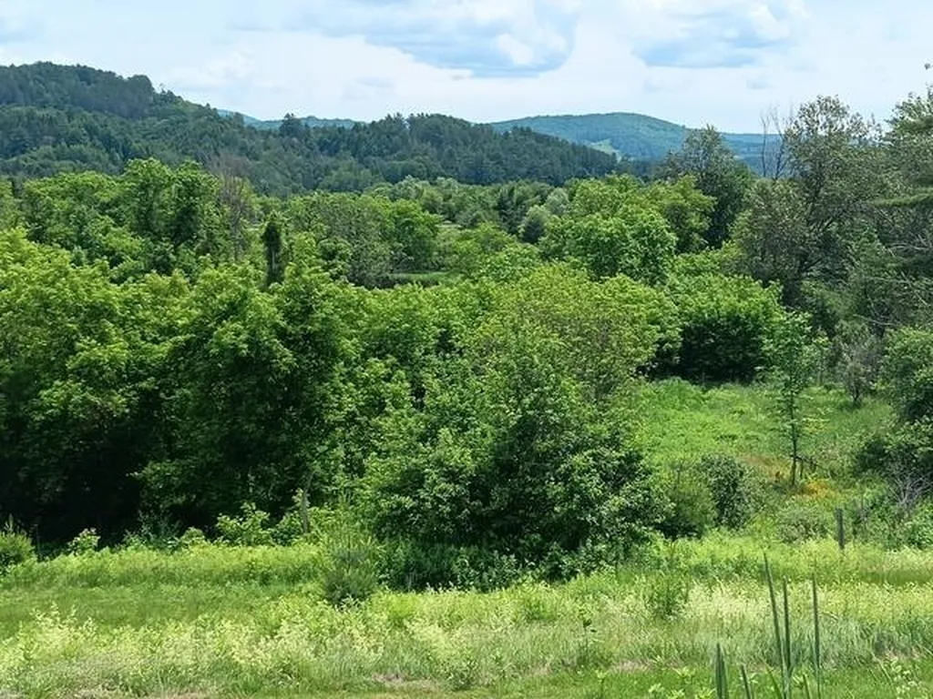 1362 Vail Drive Lyndon VT 05851