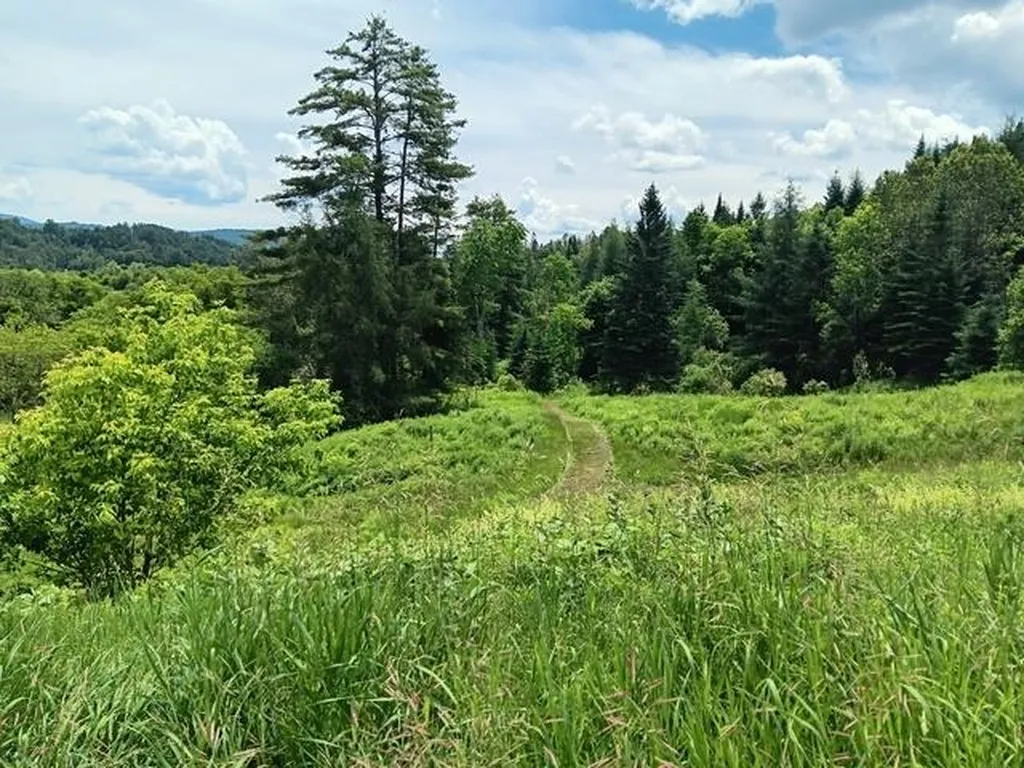 1362 Vail Drive Lyndon VT 05851