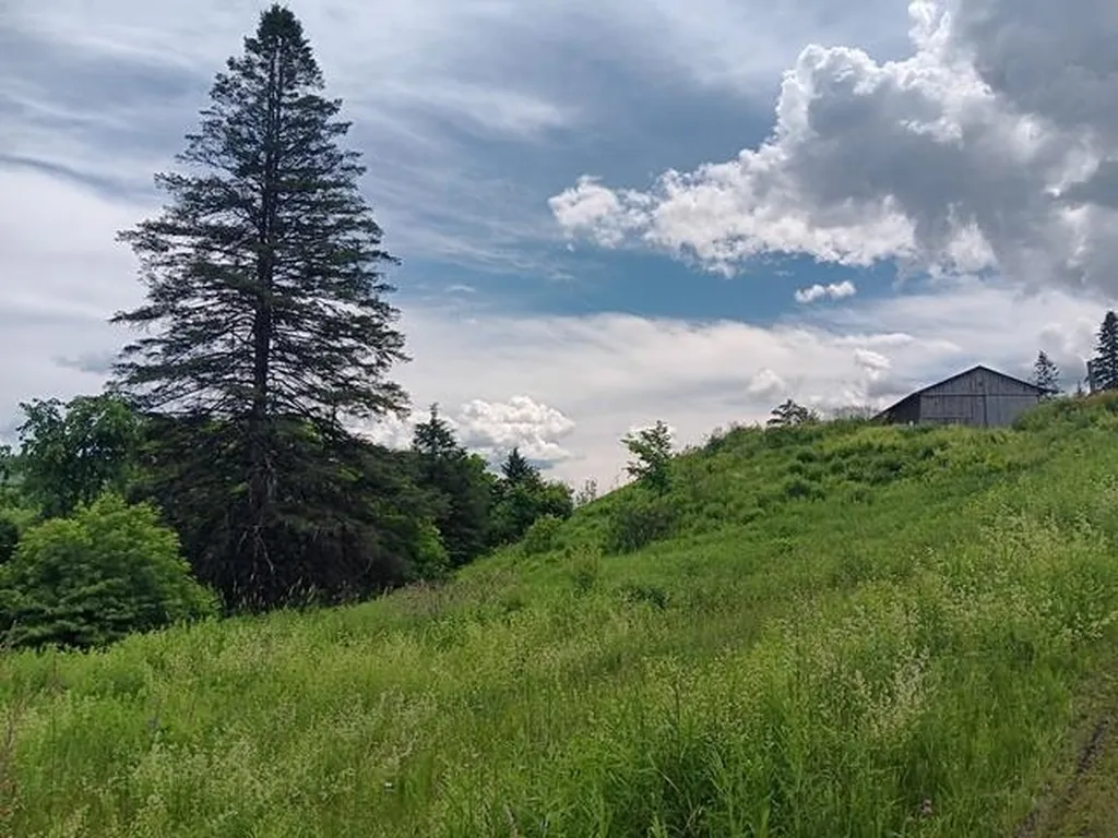1362 Vail Drive Lyndon VT 05851