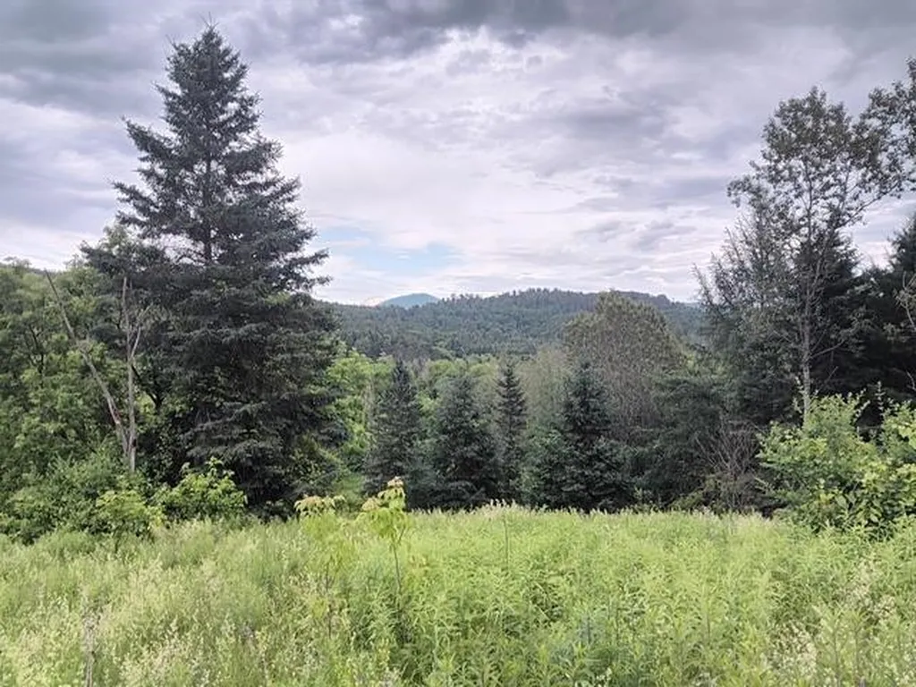 1362 Vail Drive Lyndon VT 05851