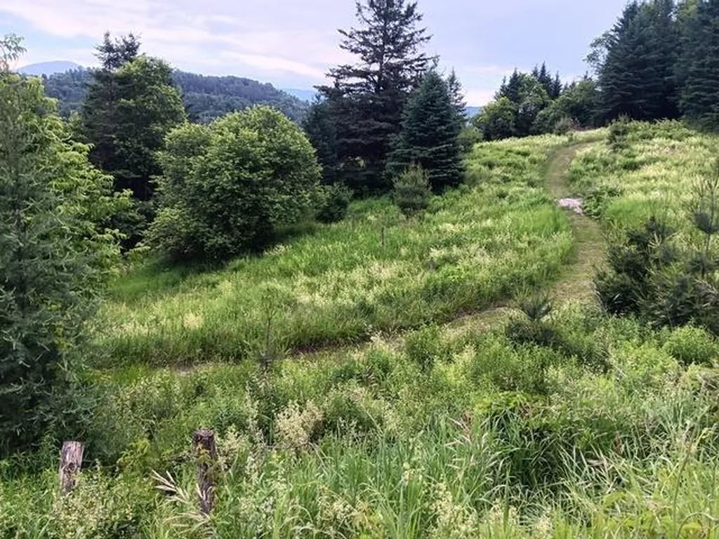 1362 Vail Drive Lyndon VT 05851