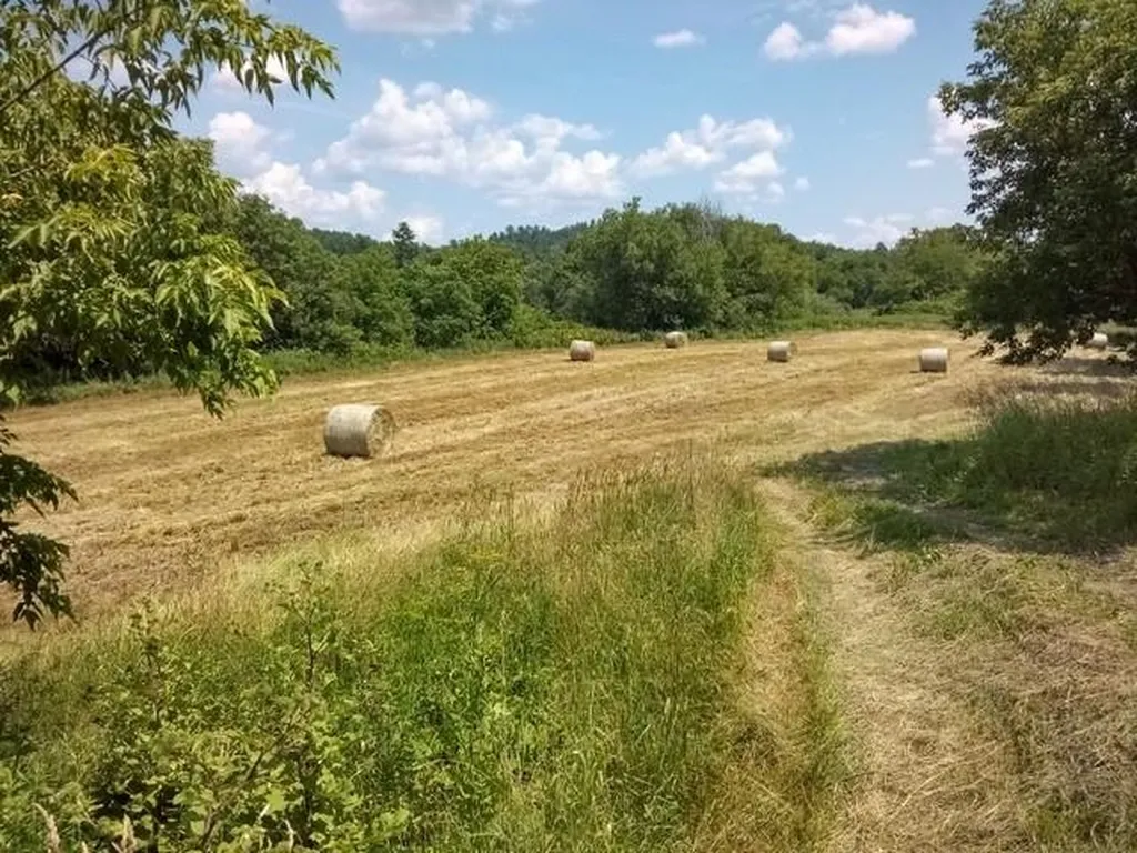 1362 Vail Drive Lyndon VT 05851