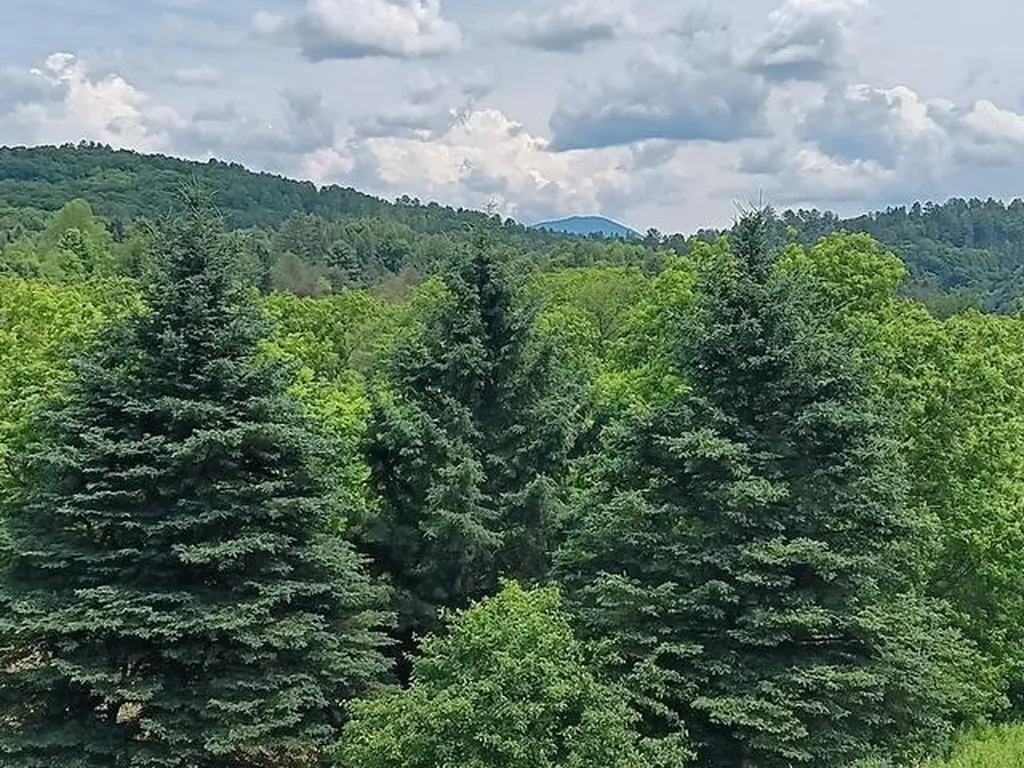 1362 Vail Drive Lyndon VT 05851
