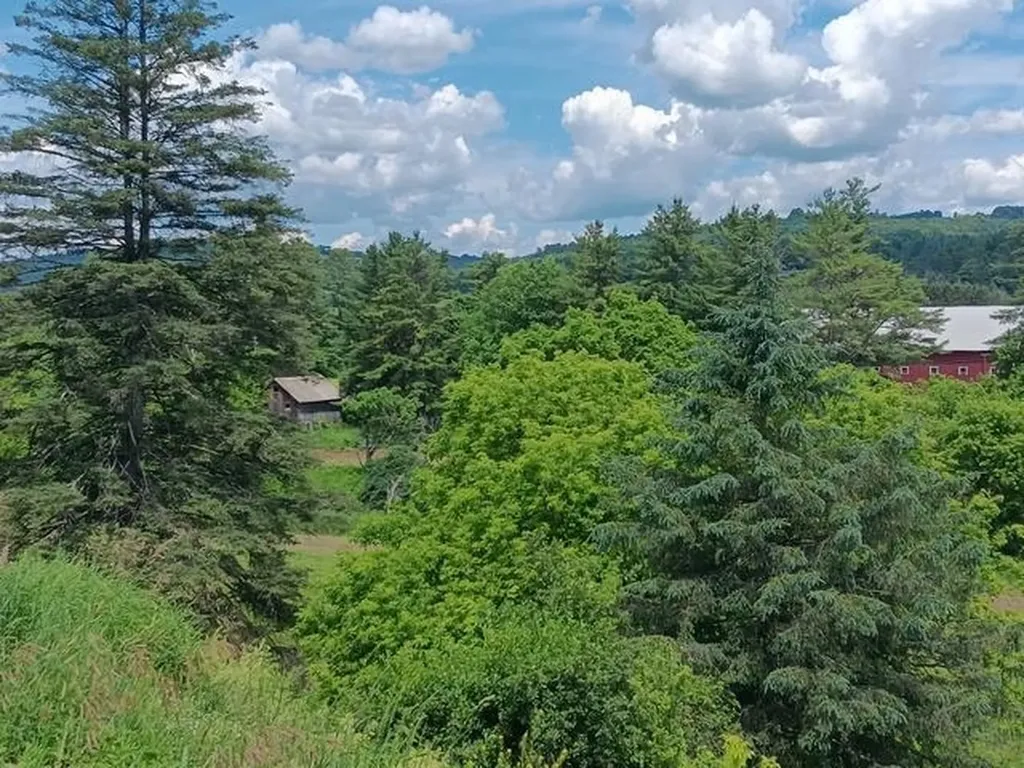 1362 Vail Drive Lyndon VT 05851