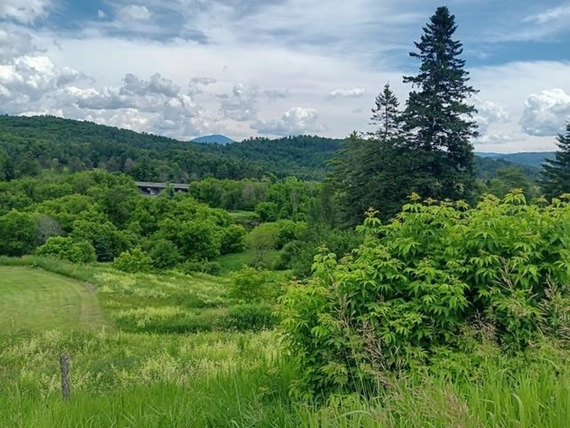 1362 Vail Drive Lyndon VT 05851