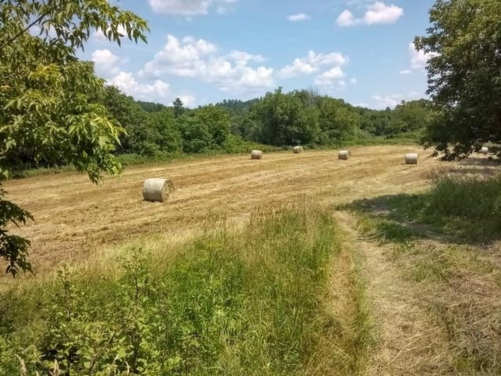 1362 Vail Drive Lyndon VT 05851