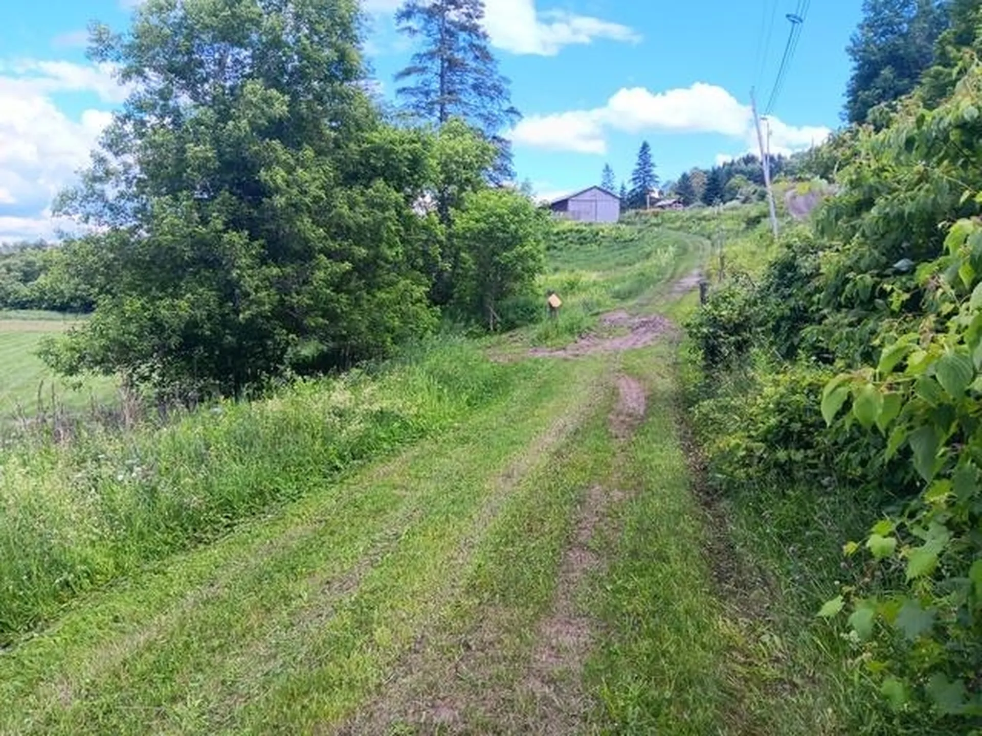1362 Vail Drive Lyndon VT 05851
