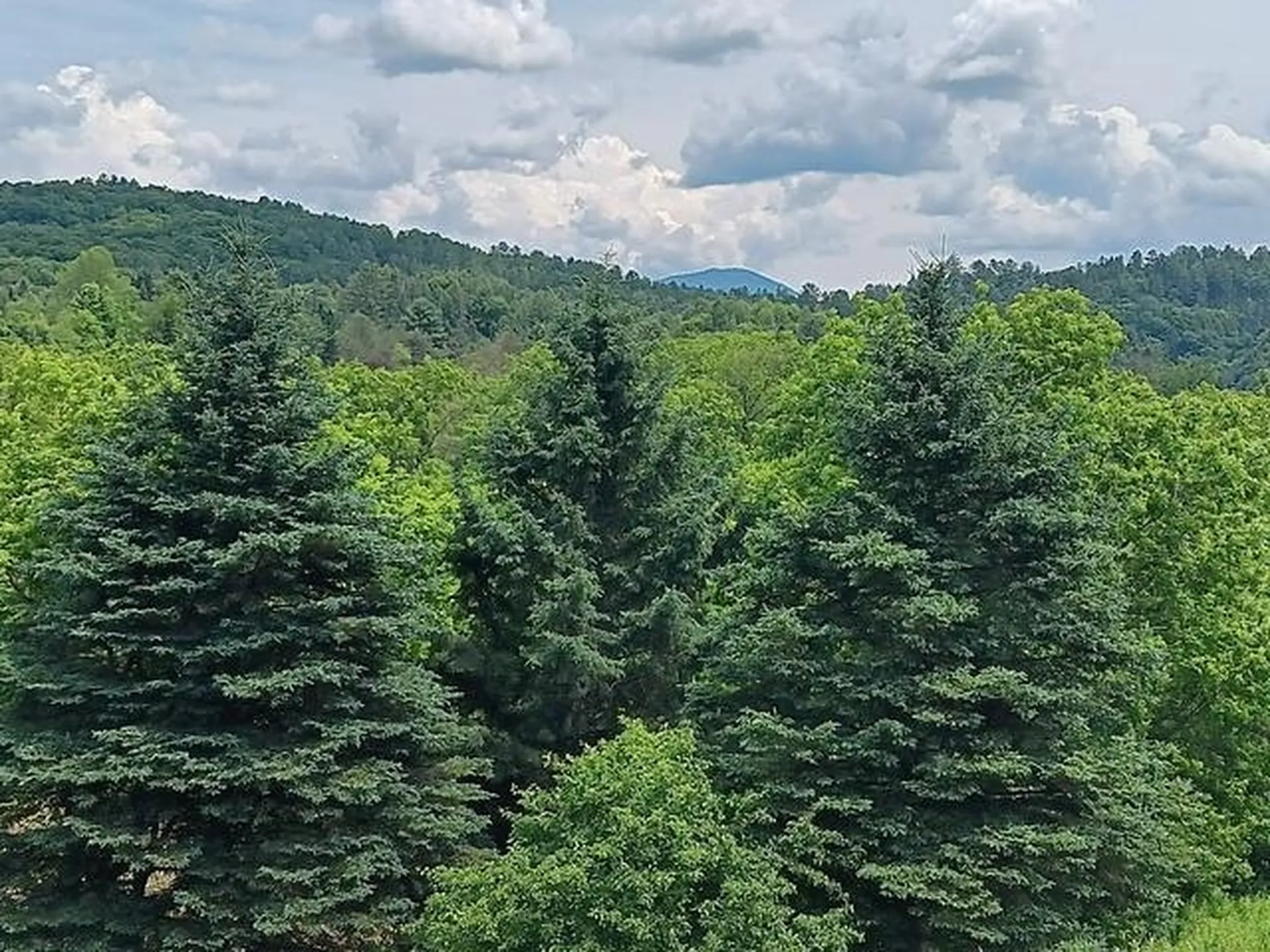 1362 Vail Drive Lyndon VT 05851