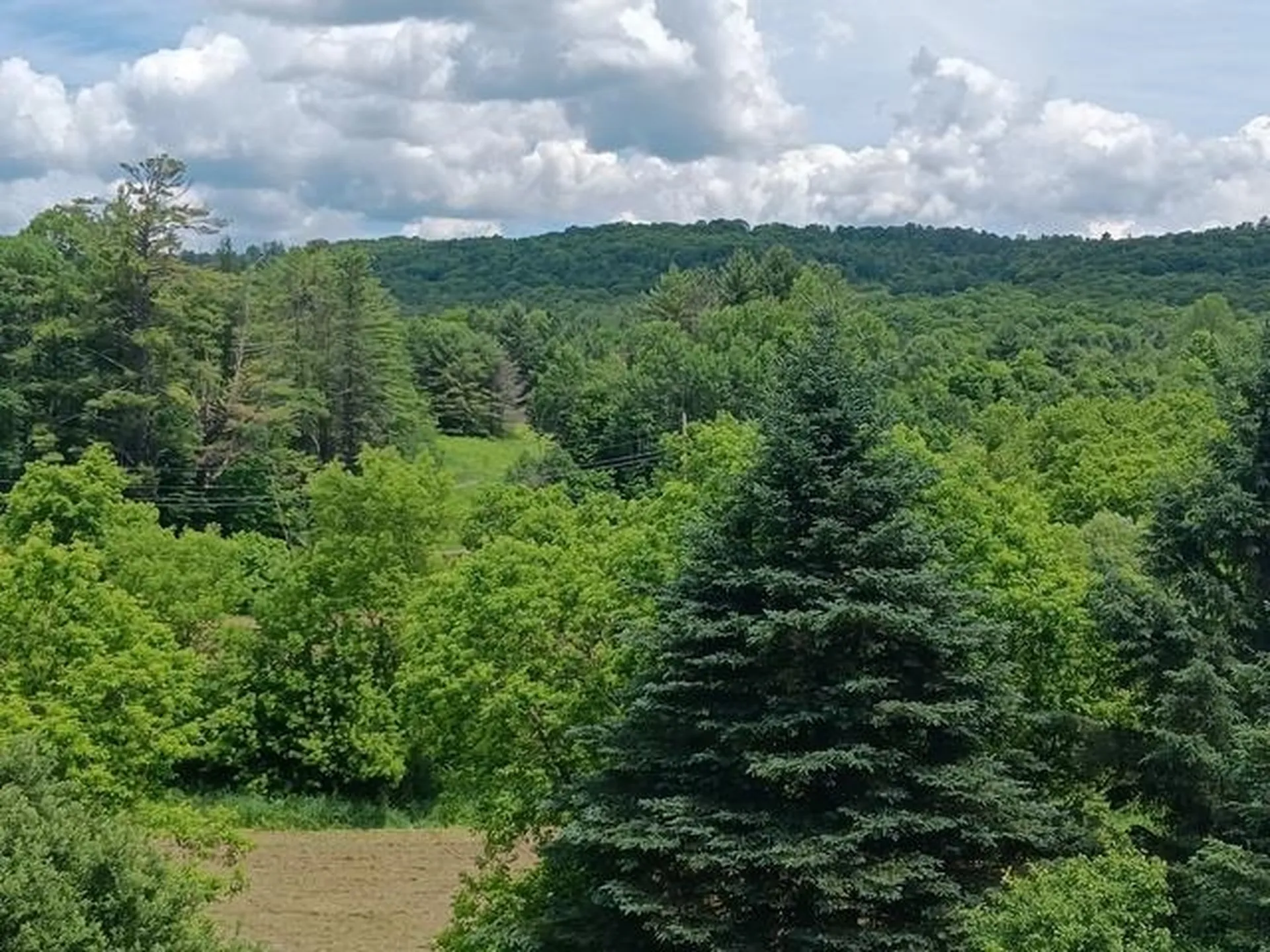 1362 Vail Drive Lyndon VT 05851