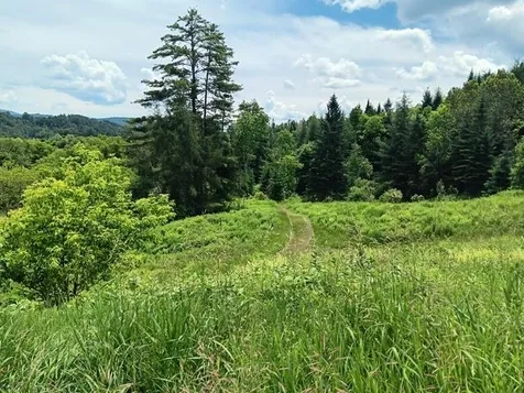 1362 Vail Drive Lyndon VT 05851