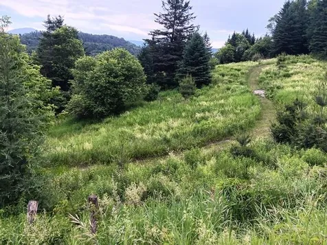 1362 Vail Drive Lyndon VT 05851