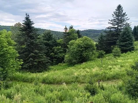 1362 Vail Drive Lyndon VT 05851