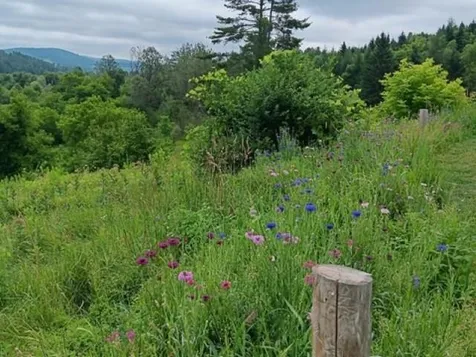 1362 Vail Drive Lyndon VT 05851