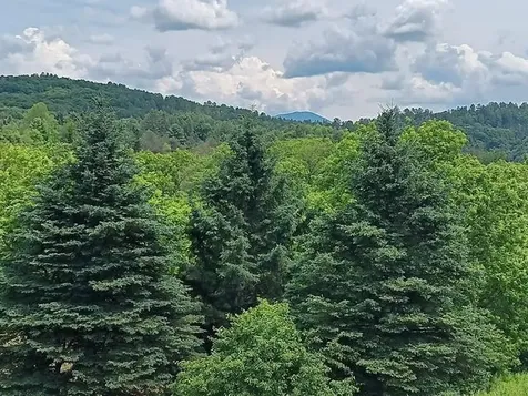 1362 Vail Drive Lyndon VT 05851