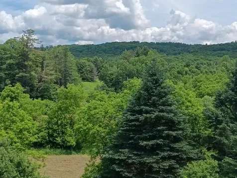 1362 Vail Drive Lyndon VT 05851