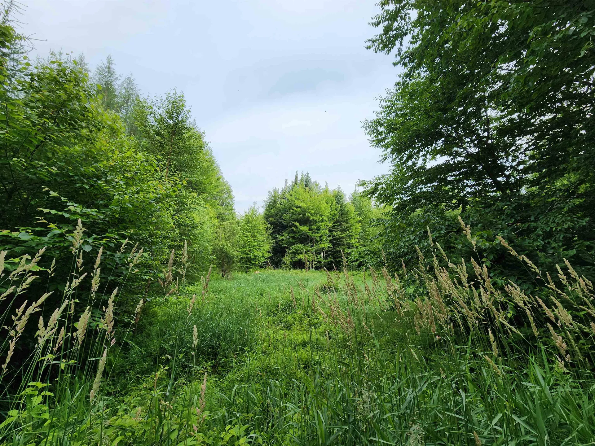 Lot 3 North Mountain Pond Road Errol NH 03579