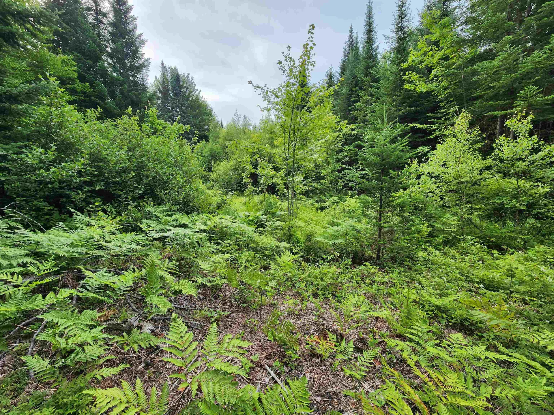 Lot 3 North Mountain Pond Road Errol NH 03579