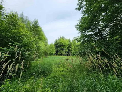Lot 3 North Mountain Pond Road Errol NH 03579